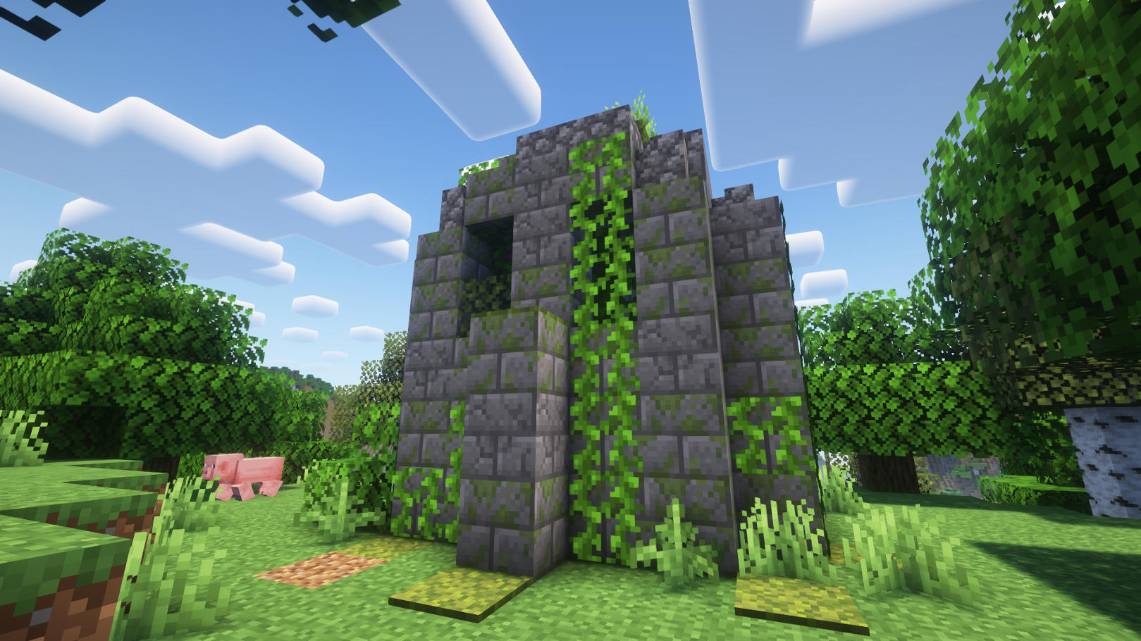 Forest Ruins structure in Minecraft
