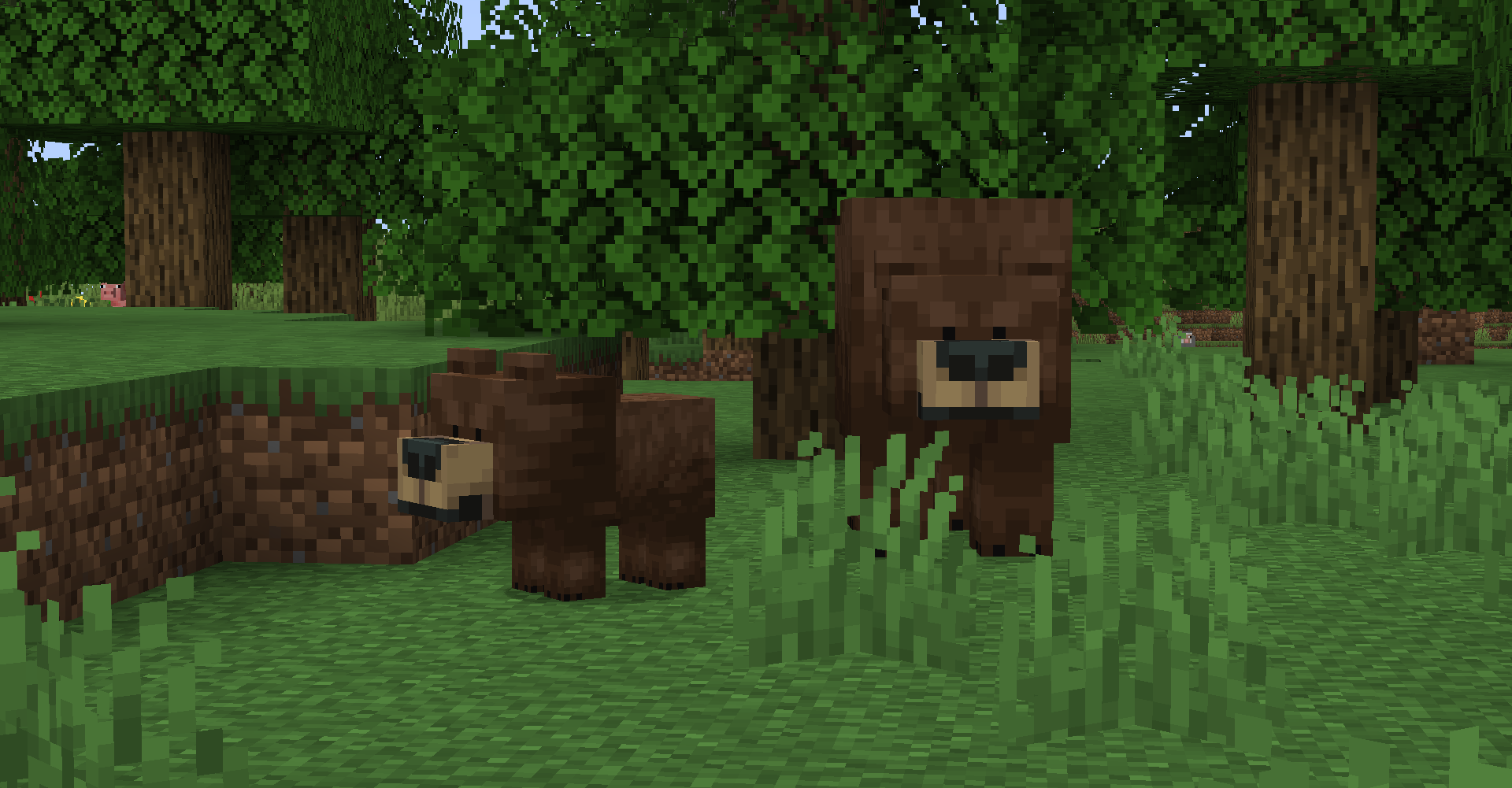 Naturalist bears in a forest